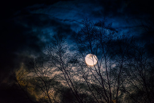 from trees moon tree night clouds evening backyard cloudy full neighborhood viewed