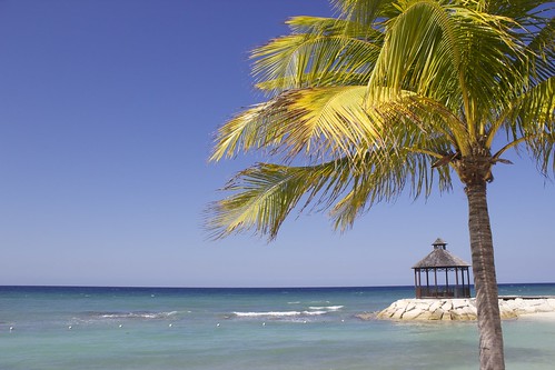 christmas vacation beach palmtree jamaica montegobay caribbeansea secretsstjames kittyschweizer