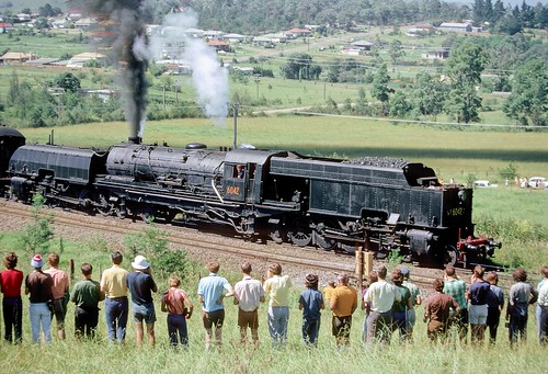 steam locomotive steamlocomotive garratt steampower steamloco mainsouth 6042 standardgauge