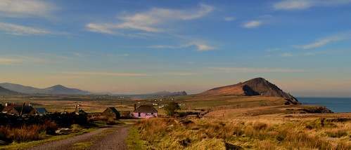 morning ireland sky irish seascape field landscape view sheep kerry dinglepeninsula mountbrandon