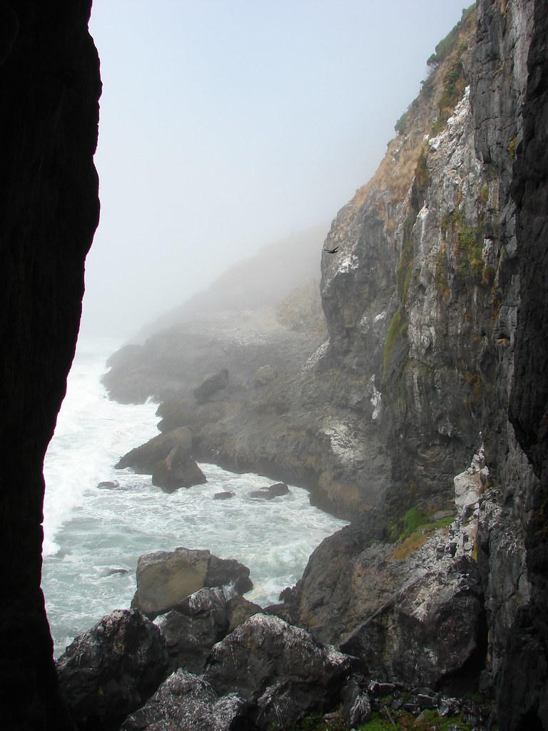 Pacific Ocean from the Sea Lion Caves