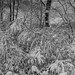 SNowstorm Panorama Full Size