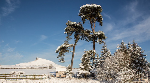 trees winter snow landscape yorkshire northyorkshire gnarlytrees roseberrytopping northyorksmoors aieryholmefarm