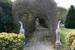 594-20100314-Malta-Il Bidnija Village-Ras Rihana House-garden path-with sentinels