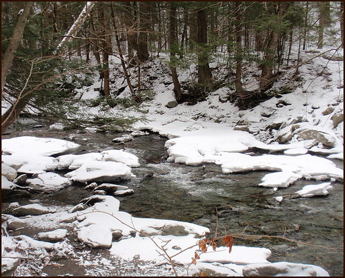 winter forest snowy brook