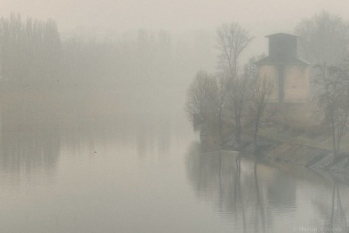 morning trees mist silhouette fog architecture reflections river prague czechrepublic cze 2013