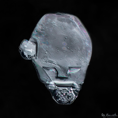 snowflake winter snow cold macro ice face grey frozen crystal alien ufo donkom