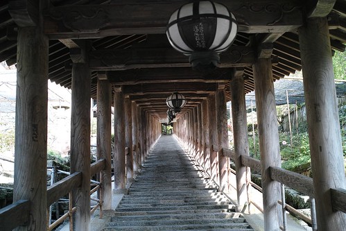 長谷寺、大神神社、帯解寺、南円堂に行ってきました。