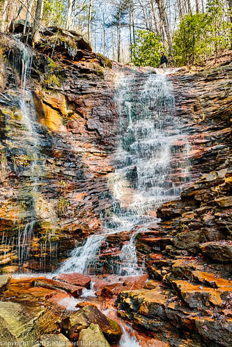geotagged waterfall unitedstates hiking tennessee waterfalls huckleberry soddydaisy cumberlandtrail tennesseestateparks camera:make=canon exif:make=canon exif:focallength=18mm exif:isospeed=125 geo:state=tennessee cumberlandtrailstatepark geo:countrys=unitedstates camera:model=canoneos7d exif:model=canoneos7d exif:lens=18200mm exif:aperture=ƒ71 mimosatrailerpark geo:city=soddydaisy stripminefalls geo:lat=35252678333333 geo:lat=3525267893 geo:lon=8524069393 geo:lon=85240693333333 northchickamaugacreeksegment