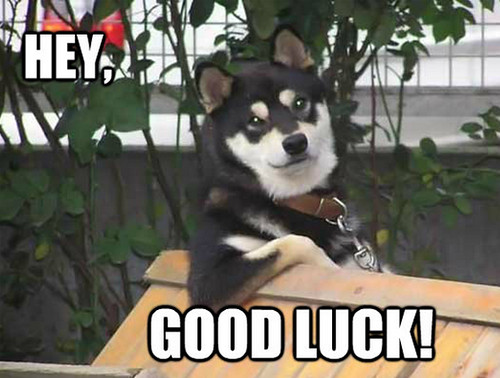 good luck dog
