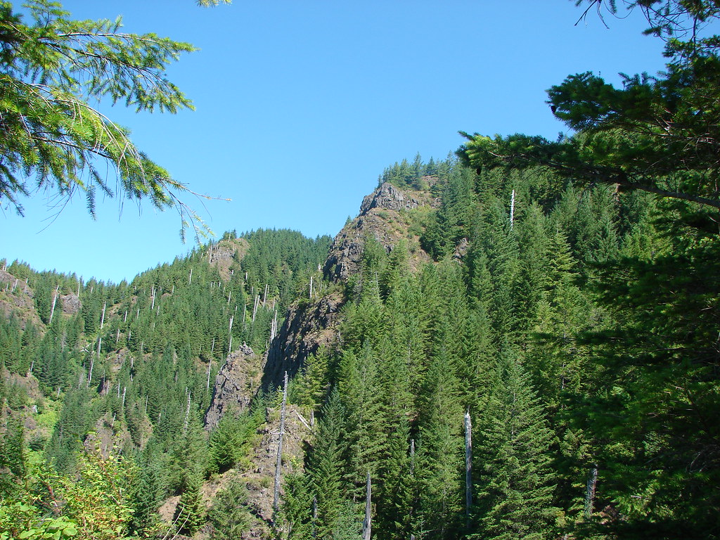 Kings Mountain Trail viewpoint