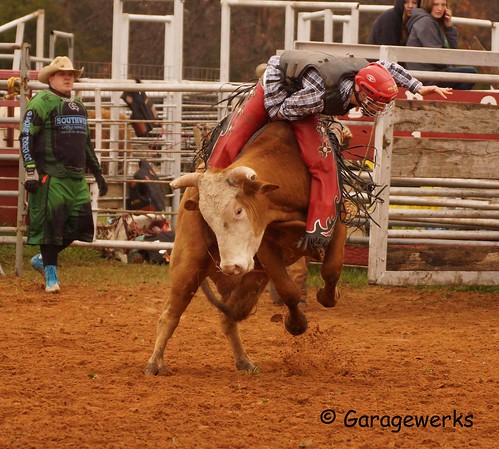 boy male oklahoma sport all child sony bull riding rodeo 70300mm tamron bullriding f456 slta65v juniorbullridersassociation