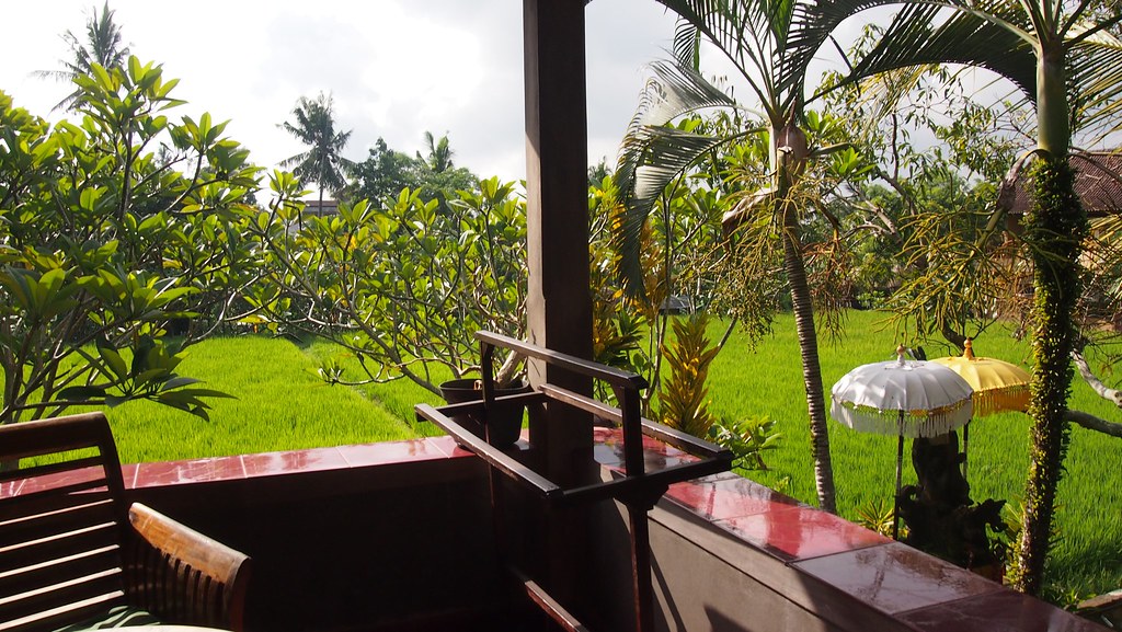 Our nice room in Ubud. Free rice paddy view!