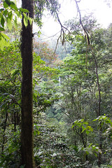 Costa Rica Febrer 2013