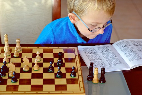 290/366: Chess apprentice