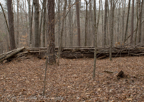 creek georgia cabin sony historic confederate well civilwar battlefield alpha a77 1650