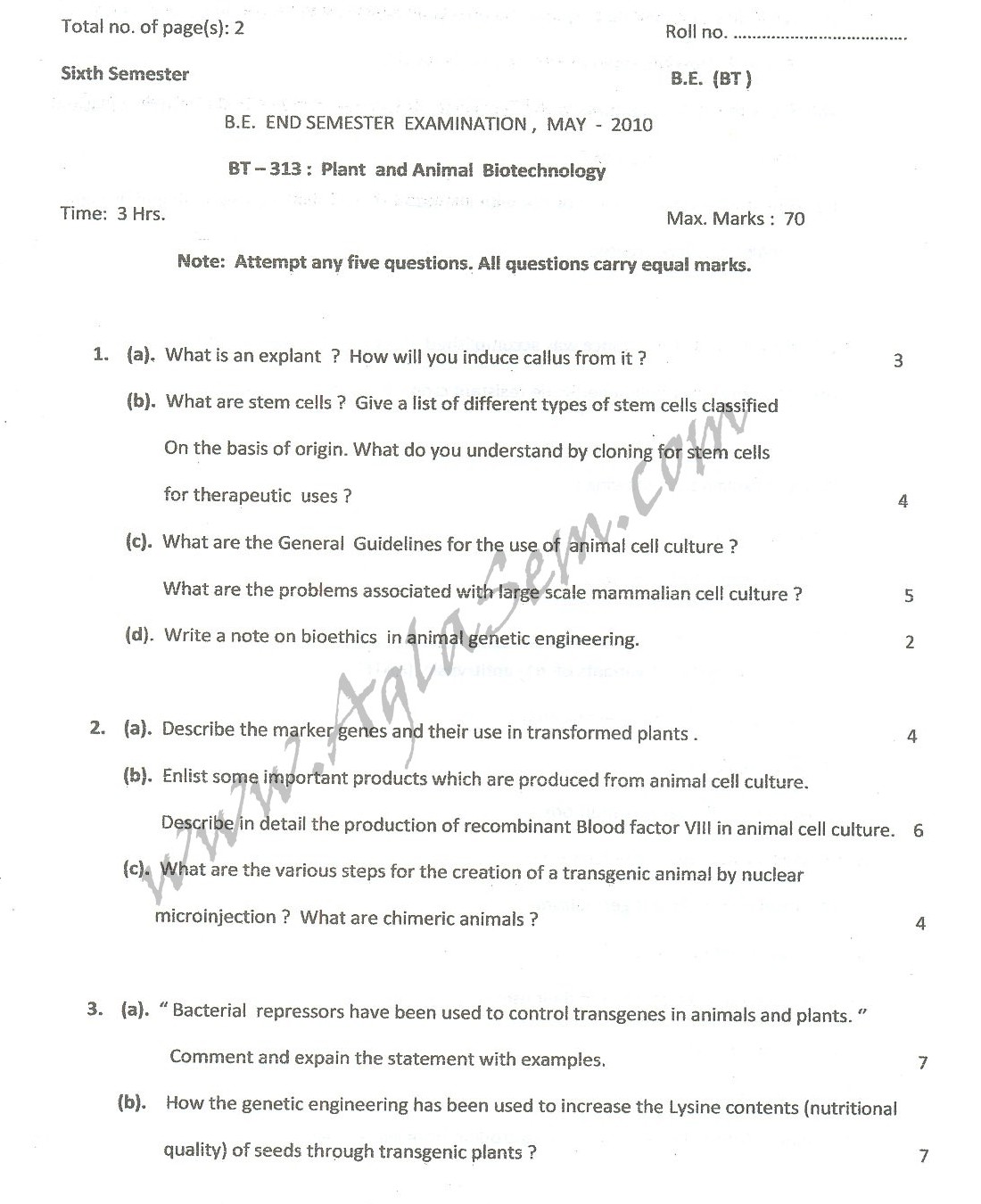 DTU Question Papers 2010 – 6 Semester - End Sem - BT-313