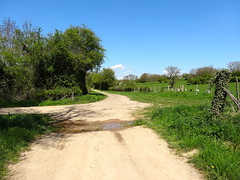 A gauche au croisement, par les bords de Loire et tout droit par les sentiers à travers champs (les 2 points de vue sont sympas) - Photo of Torteron