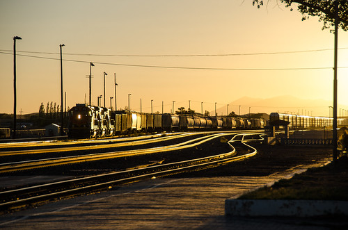 train trains railroad railroads railway arizona bnsfrailway diesel sunset winslow unitedstates us