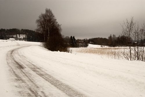 winter snow landscape sweden västernorrland skedvik
