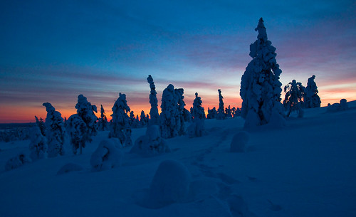 trees sky snow finland nationalpark colours lapland bluemoment pyhäluosto