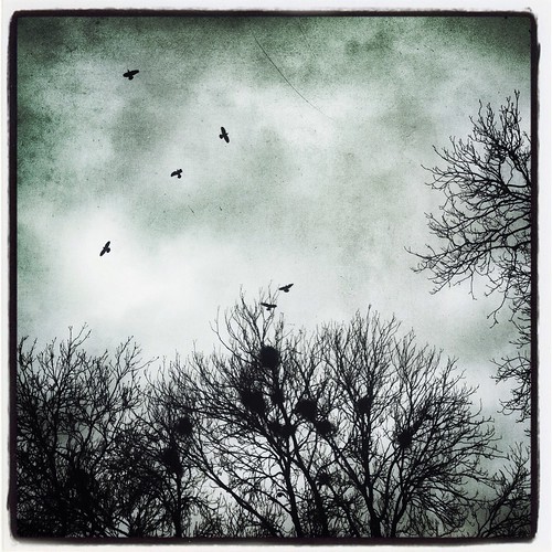 flickriosapp:filter=nofilter uploaded:by=flickrmobile adamslater blackbird bird birds blackwhite blackandwhite cemetery cemetary cellphone cloud clouds churchyard dark dead death decay depression evil hdr instagram instagramapp illness iphoneography iphone iphonography landscape lonely mobilephone scary sky slaterphotography squareformat square tree trees urbandecay urban wiltshire winterbournegunner rook crow