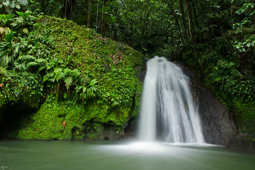 longexposure green water waterfall movement fresh le jungle tropical tropic caribbean foss guadeloupe refreshment refresh waterval nd8 cascadeauxecrevisses