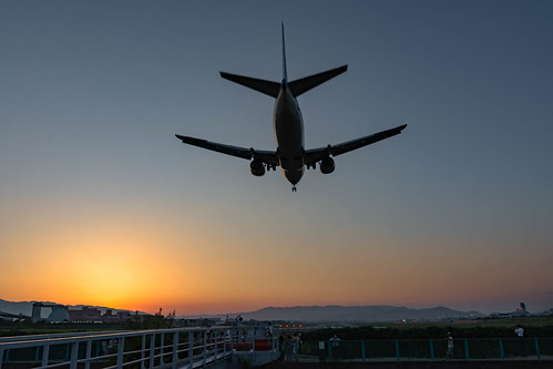 itami osaka international airport airplane airline aircraft plane sunset landmark nikon d7200 sigma 1770mm 1770 japan