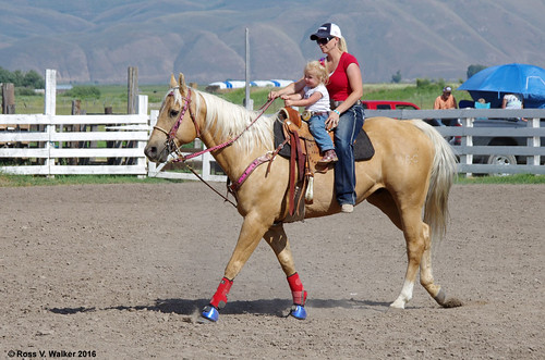 paris idaho youth rodeo barrelrace horse child parent 4thofjuly independenceday