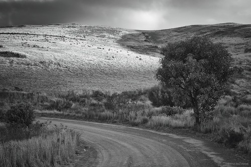 africa blackandwhite bw sun sunrise landscape southafrica overberg cameraslenses leicasummicron35mmf2