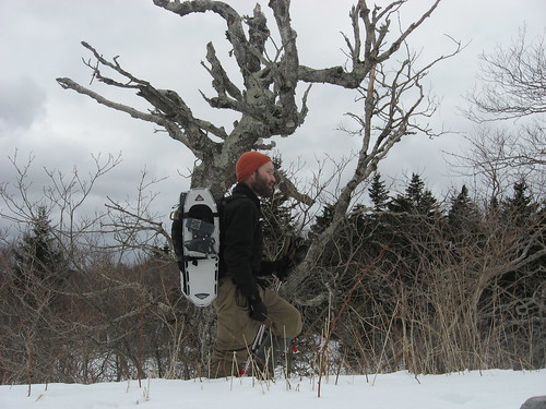 man with snowshoes on pack walking in snow with tree in background