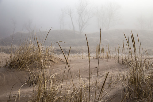 fog sanddunes hoffmaster beachgrass lakemichigaa