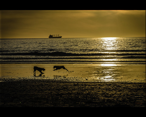 españa sol mar agua nikon barco playa arena galicia jugar perros puestadesol olas piedras playadepatos d7000