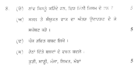 DU SOL B.A. Programme Question Paper - Punjabi Langauge (B) - Paper V 