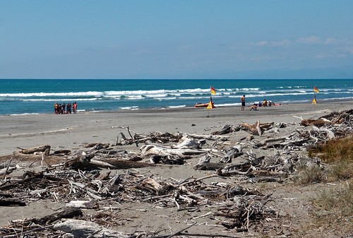 newzealand beach driftwood surflifesaving