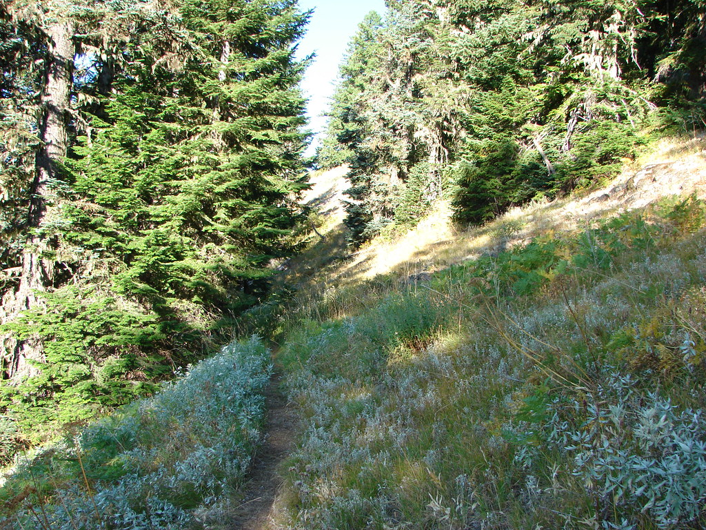 Gate Creek Trail