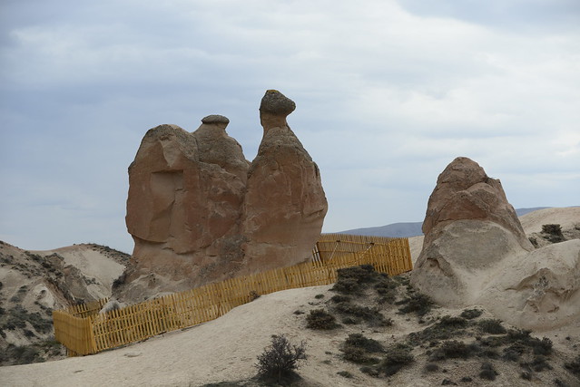 德伍連特谷 (Devrent Valley) 有許多擬人擬物化的岩石，就像我們的女王頭一般，其中一塊駱駝岩，是最大、最顯著、最容易辨認的，另外還有一塊像是拿破崙的帽子的石頭。 