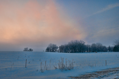 winter snow tree fog hoarfrost scenic ©jrj