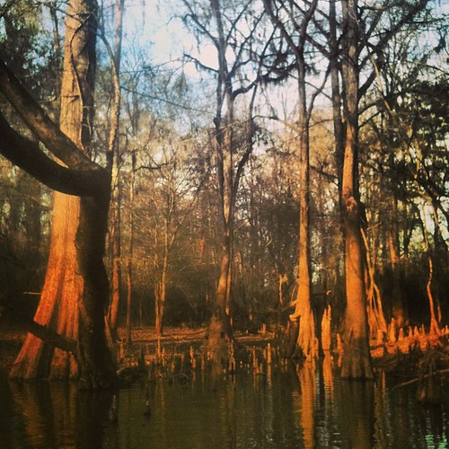 old trees sunset lake film water forest river georgia square south documentary canoe adventure squareformat cypress mayfair paddling flint keeper blackshear iphoneography instagramapp uploaded:by=instagram whoownswater