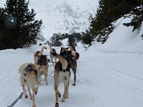 Fotografía del Trineo de perros en Vallnord (Andorra)