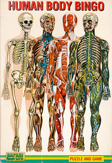 Skeletal Structure