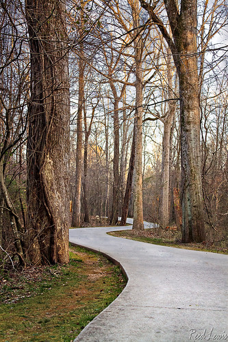 road park trees green grass canon georgia path trail greenway