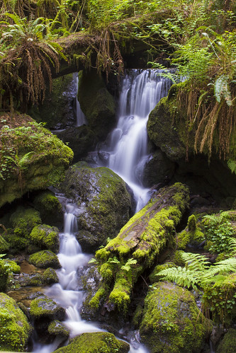 california park usa water falls national redwood