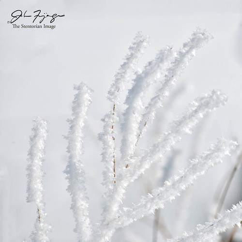 winter white canada frost can alberta rime brooks