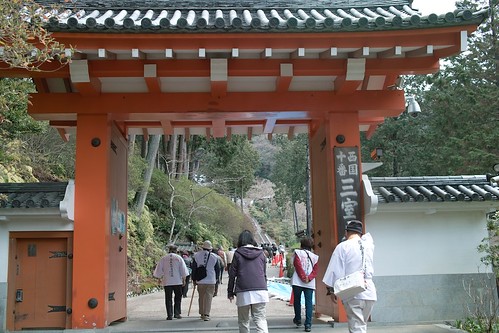 三室戸寺、醍醐寺、元慶寺に行きました。