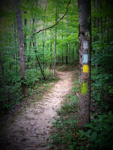 buckeye trail hiking blue blazes ohio burr oak