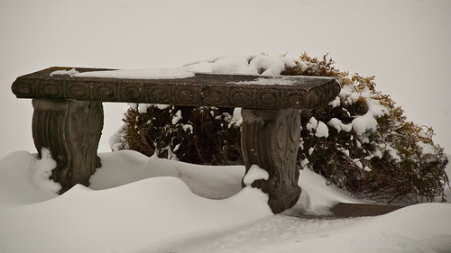 snow bench concrete bush
