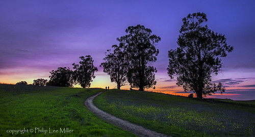 california landscape sunsets d600 arastraderopreserve eucalyptustrees