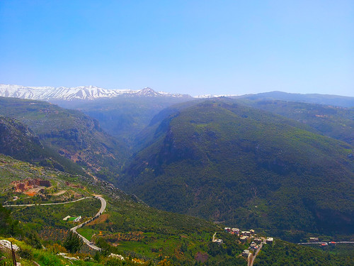 lebanon mountain green nature saint montagne landscape north saints vert valley paysage مقدس liban لبنان شمال vallée منظر طبيعي طبيعة جبل جبال وادي خضار شجر اخضر kadicha kannoubine قاديشا القديسين quadicha kanoubine cadicha قنوبين canoubine