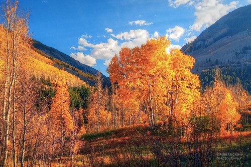 autumn sunset mountains color fall clouds landscape gold interestingness colorado shadows foliage valley aspens rockymountains aspen hdr goldenhour omd sidelight 1250mmf3563mzuiko